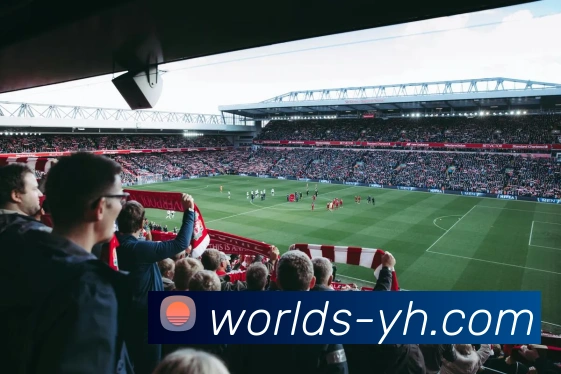 银河GALAXY官网平台生态图